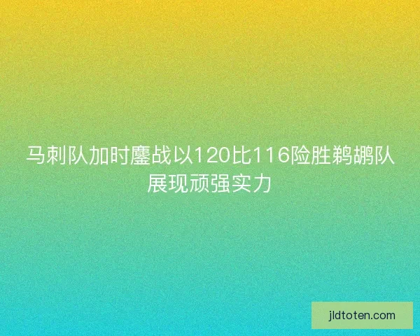 马刺队加时鏖战以120比116险胜鹈鹕队展现顽强实力